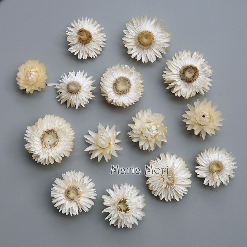 Natural Dried Colorful Chrysan - Candle Making Diy recension och pris
