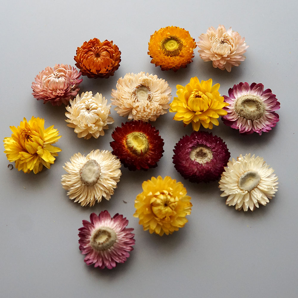 Natural Dried Colorful Chrysan - Candle Making Diy recension och pris