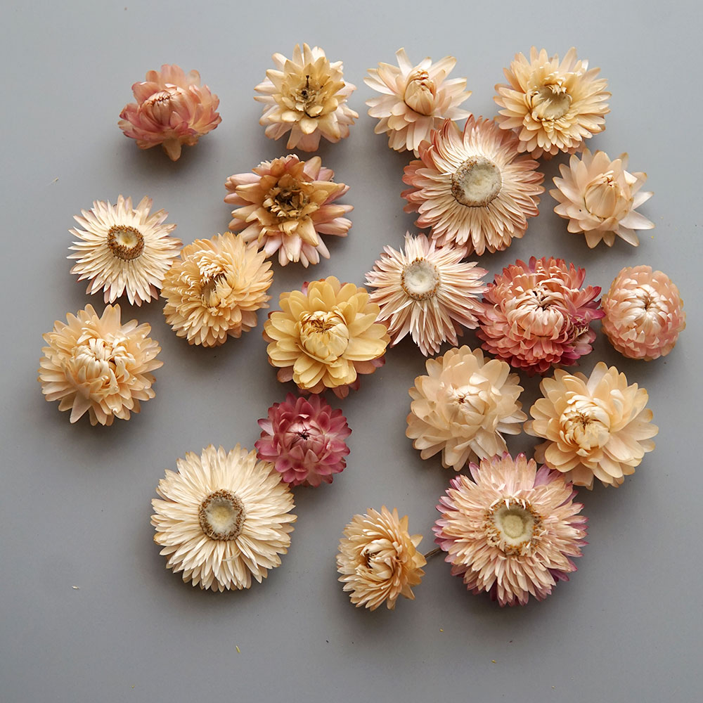 Natural Dried Colorful Chrysan - Candle Making Diy recension och pris