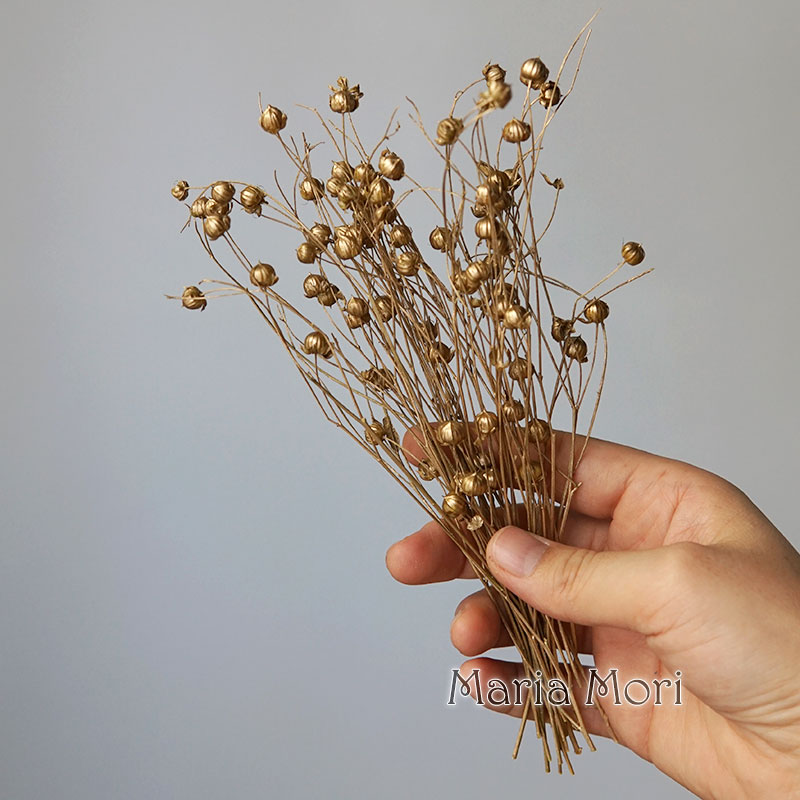 5g/Preserved Flax Bean Natural - Candle Making Diy recension och pris